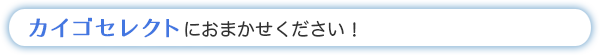 カイゴセレクトにおまかせください!